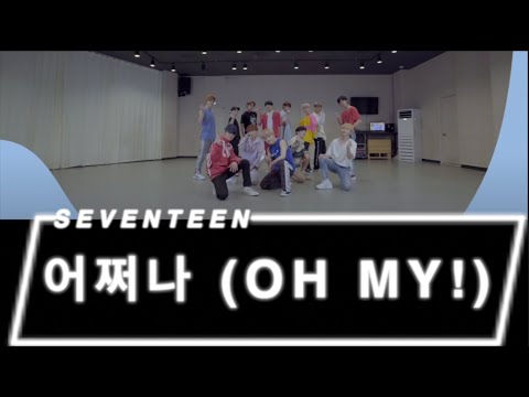 DANCE CHOREOGRAPHER REACTS - [SPECIAL VIDEO] SEVENTEEN(세븐틴) - 어쩌나 (Oh My!) Dance Practice Fix Ver.