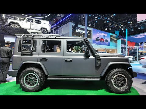 2025 BJ212 T01 Appearance (with multiple colors) Interior Space Video