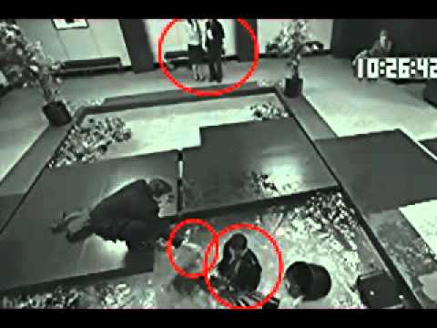 Michael fell into the Koi Pond himself?