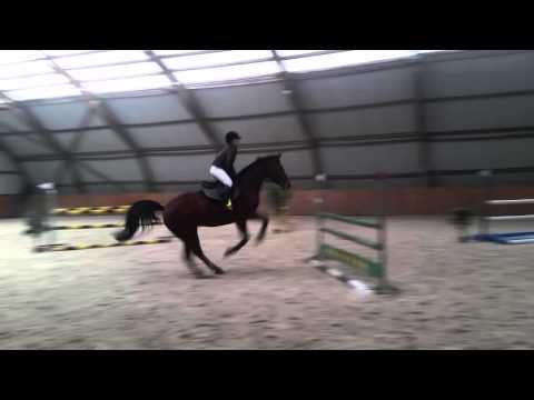 Klasa P 24.01.16r. Fidelius