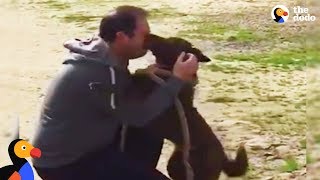 Dog Reunited with Owner Slowly Recognizes Dad After Years in Shelter | The Dodo