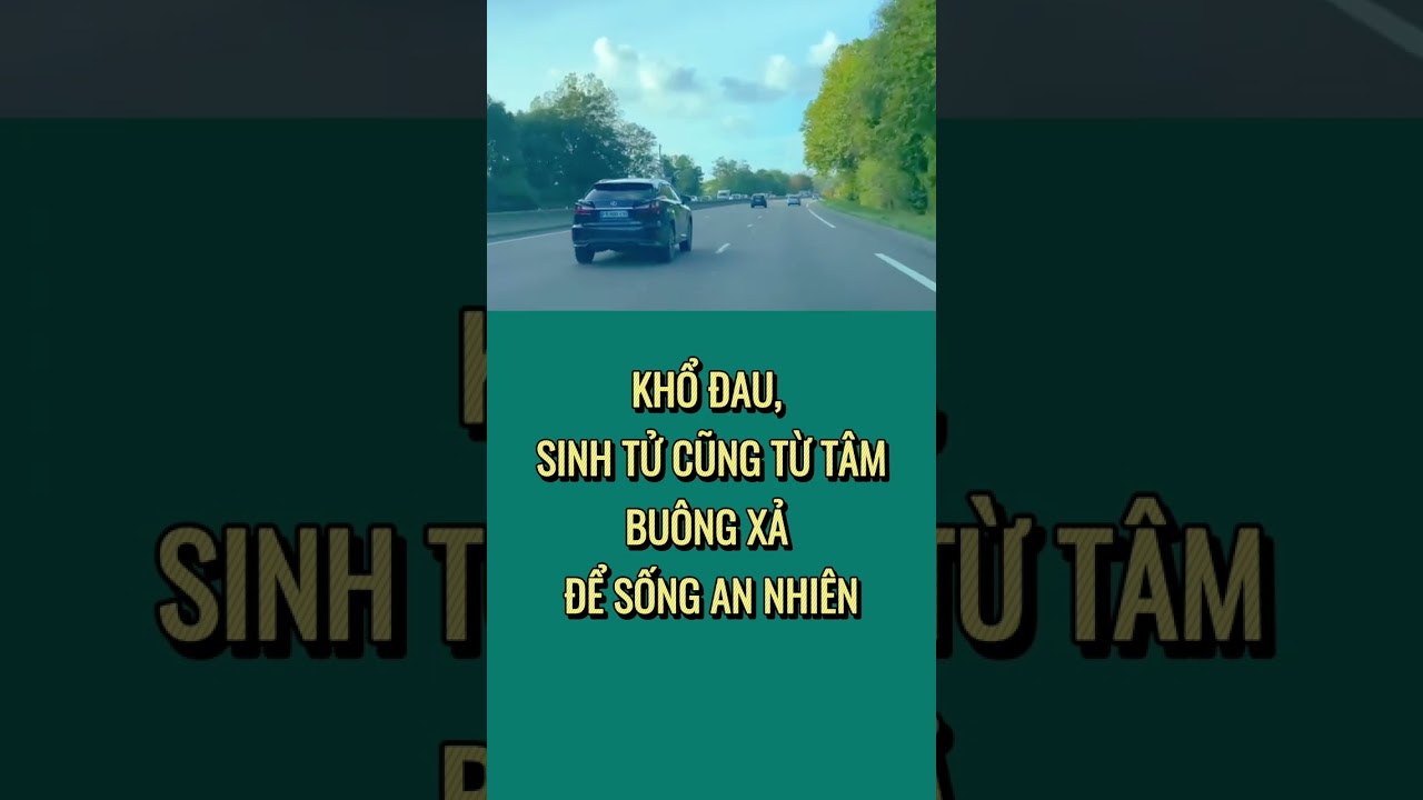 KHỔ ĐAU, SINH TỬ CŨNG TỪ TÂM – BUÔNG XẢ ĐỂ SỐNG AN NHIÊN