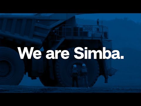 Žaislinis gyvūnas Simba Pamper Petz Cat 105953051 video