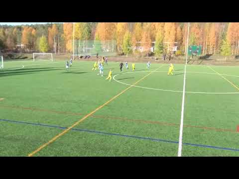 P13 ROPS sininen-OLS/09 keltasininen
