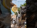 Midnight Pearl Martini #shorts #cat  #cocktial