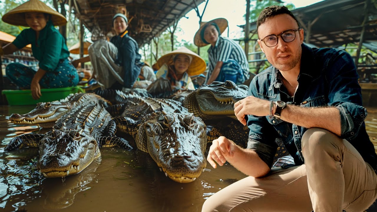 Making Millions from MONSTER Crocs: Inside Vietnam's Booming Crocodile Trade