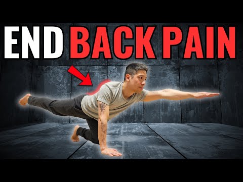 5 Exercises For A STRONG Lower Back (NO MORE PAIN)