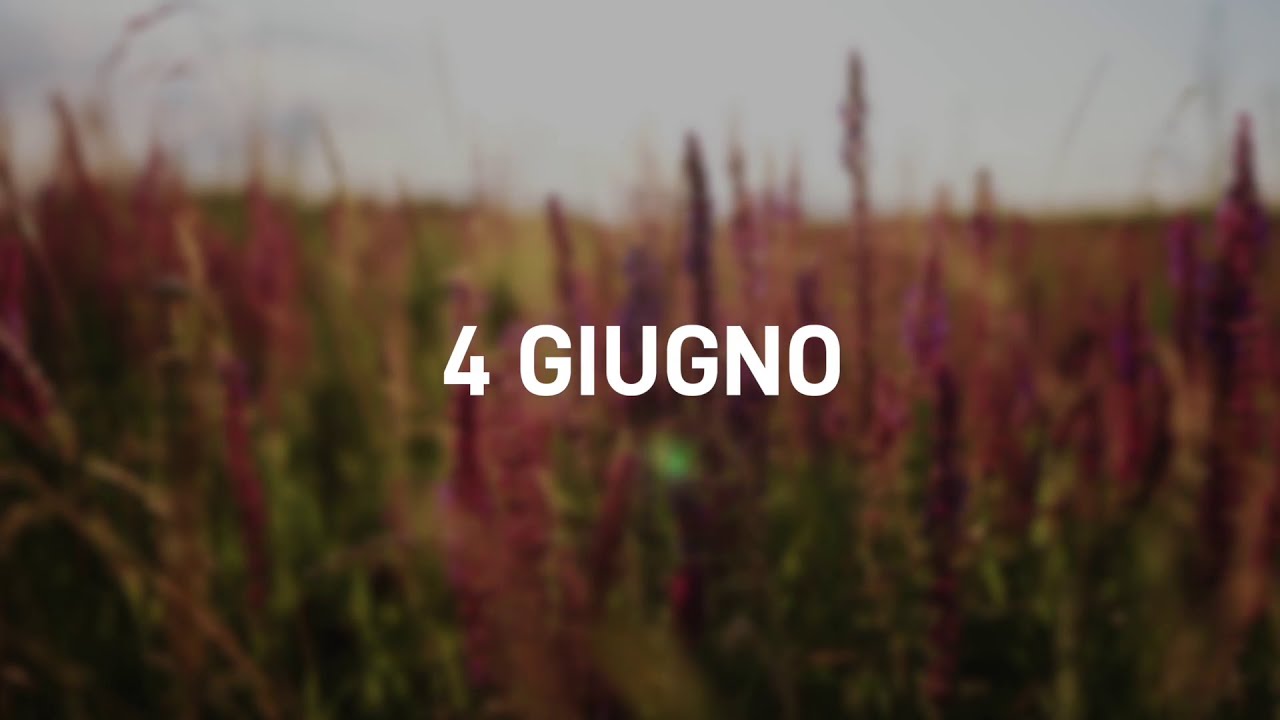 4 Giugno 2025 | Meditazione Parole di Vita