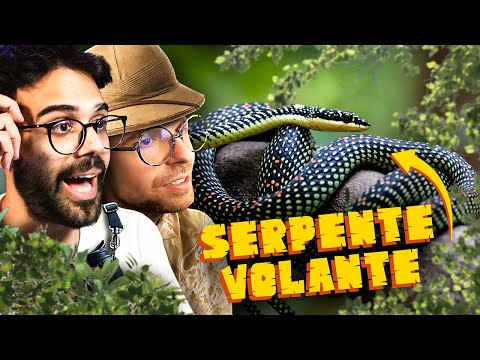 Rivalutiamo i SERPENTI! | Lo Zoo di Dario e Willy (ft. ZooSparkle)