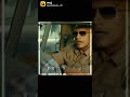 Pets Lover Whatsapp Status Pets Rock