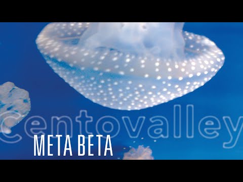 Centovalley  - Meta Beta (Official video)