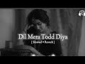 Dil Mera Tod Diya Usne Slowed Reverb Alka Yagnik Dil Mera Tod Diya Usne Bura Kyu Manu LoFi