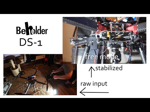 Beholder DS-1 Buttons and Modes