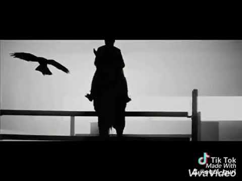 Horse edit Bella ciao