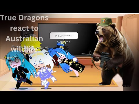 True Dragons (tensura) react to Australian wildlife by @moreparz [Part 1]