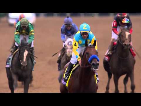 2015 Breeders' Cup Classic - American Pharoah