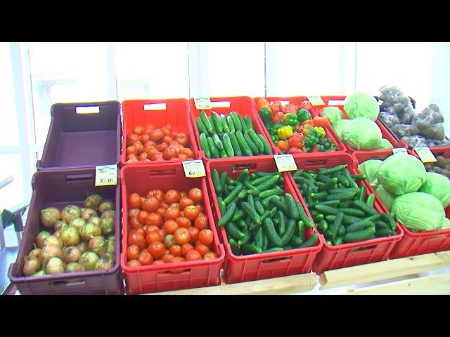 Ангарчанам обеспечены свежие и недорогие овощи