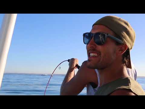 download lagu mp3 mp4 Three Mile Reef Perth, download lagu Three Mile Reef Perth gratis, unduh video klip Three Mile Reef Perth