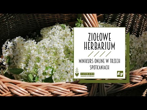Ziołowe Herbarium cz. 1