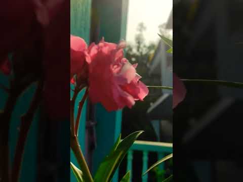 karam#motivationalline