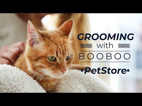 BooBoo Pet Care video thumbnail