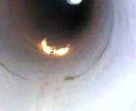 28.8.07 Feuer/rauchbombe