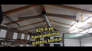 Muhabbet kuşu üretim i ( havalandırma sistemi kurulumu)