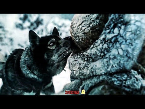 Togo 2 | winter of 1925 | Disney+ | Willem Dafoe | #movie #thriller #watchlist