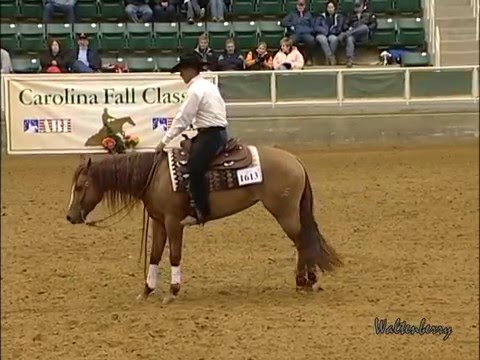 Matt Goodman on TINSELTOWN TIGRESS