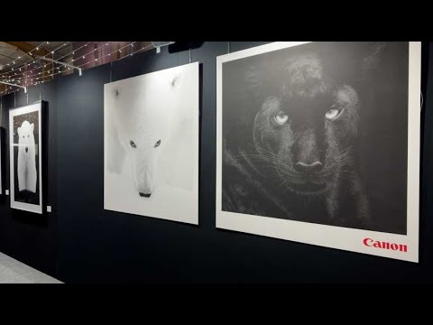 Le plus grand festival de photographie est de retour à Montier-en-Der