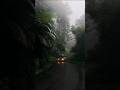 Rainy Season Whatsapp Status ️ Rain Weather