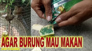 Download lagu Agar Burung Merbah Mata Merah atau merbah Belukar Mau Makan Voer #Makanan_Burung_Merbah mp3 Download lagu Agar Burung Merbah Mata Merah atau merbah Belukar Mau Makan Voer #Makanan_Burung_Merbah mp3
