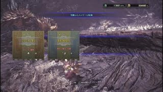 モンスターハンター：ワールド_歴戦の個体ネルギガンテ討伐1
