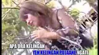 Download lagu putus tali cinta( nok eka )upload agoes_dermayu mp3 Download lagu putus tali cinta( nok eka )upload agoes_dermayu mp3