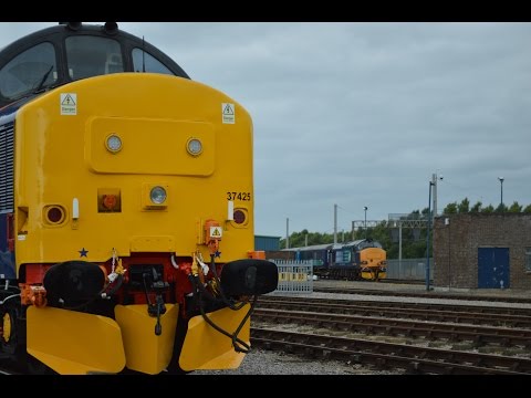 Class 37's