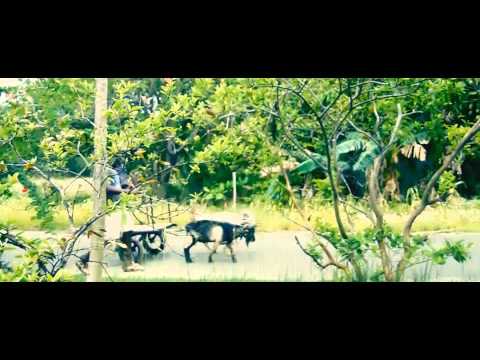 download lagu mp3 mp4 Badaw, download lagu Badaw gratis, unduh video klip Badaw