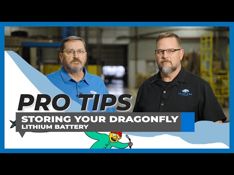 RV Pro Tips: Storing DragonFly Lithium Batteries