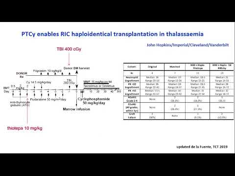Thalassemia: Advances in SCT & Gene Therapy – Dr. Josu de la Fuente (May 26-27, 2023)