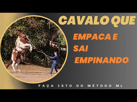 Como fazer o cavalo desempacar . oque fazer com cavalo que empaca e empina #cavalo #domaracional