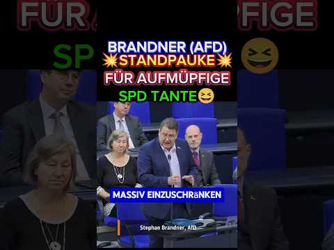 💥BRANDNER (AfD) dismantles SPD AUNT ⚡#afd #gez #weidel #cdu #csu #merz #aliceweidel #politics