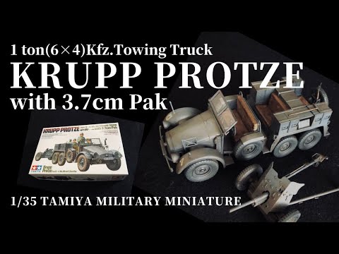 CBD for Cats Video Preview