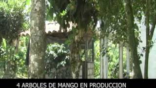 preview picture of video 'FINCA EN FREDONIA,ANTIOQUIA (COLOMBIA)mpg'