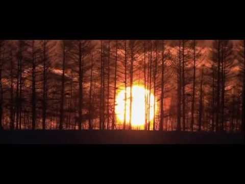 Vangelis: Beautiful Planet Earth