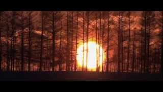 Vangelis: Beautiful Planet Earth