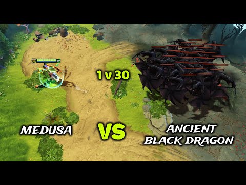 Medusa vs Ancient Black Dragon | Full Items who win??