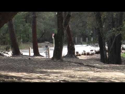 Enduro Bowl at DeLaveaga Part 3