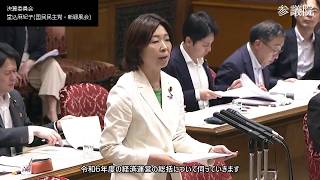 【字幕付き】20260706 参議院 決算委員会 07 堂込麻紀子 国民民主党・新緑風会