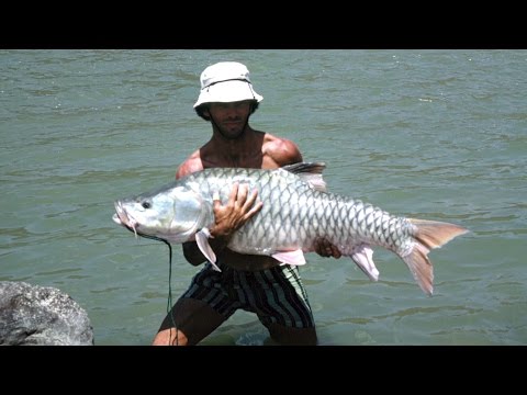 Jeremy Wade Is Hunting For The Fish That Dragged A Nepalese Fisherman To His Death