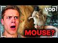 MrBeast React Reacts Day 455 Joe Bartolozzi
