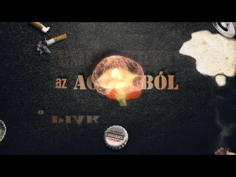 Antal, Day - Tegnap este